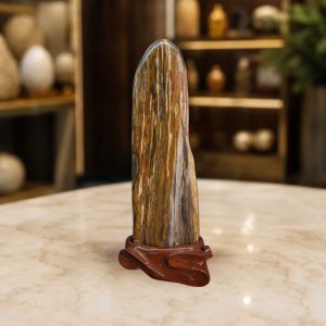 Gỗ Hóa Thạch Tự Nhiên Dạng Trụ Đứng