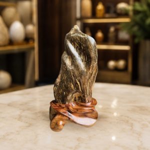 Gỗ Hóa Thạch Tự Nhiên Nguyên Khối