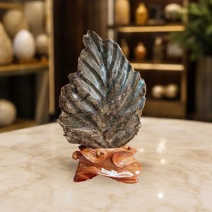 Gỗ Thủy Tùng Hóa Thạch Dạng Chiếc Lá