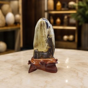 Khối Gỗ Hóa Thạch Tự Nhiên